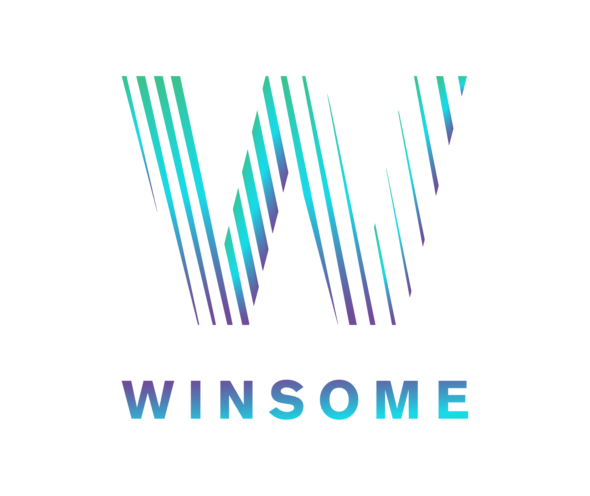 Winsome Marketing logo